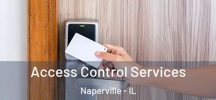  Access Control Services Naperville - IL