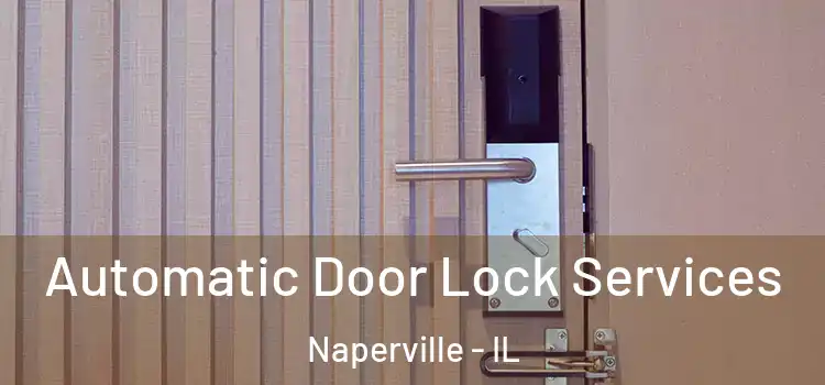  Automatic Door Lock Services Naperville - IL