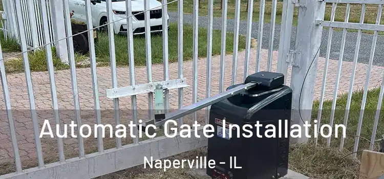 Automatic Gate Installation Naperville - IL