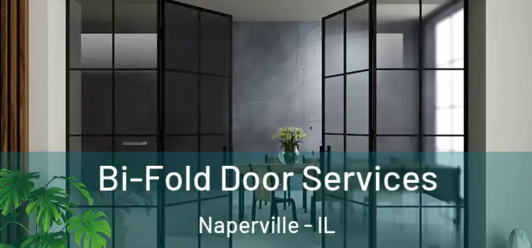  Bi-Fold Door Services Naperville - IL