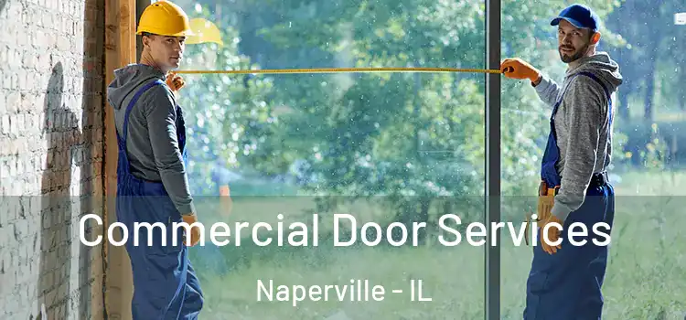  Commercial Door Services Naperville - IL