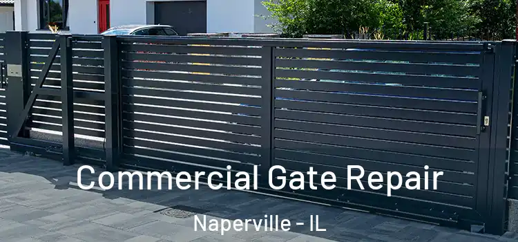  Commercial Gate Repair Naperville - IL