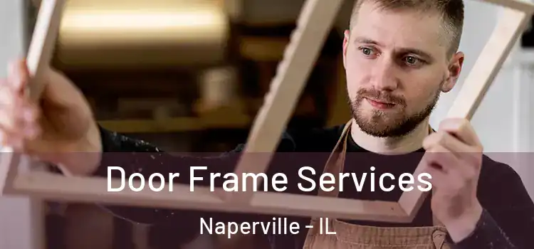  Door Frame Services Naperville - IL