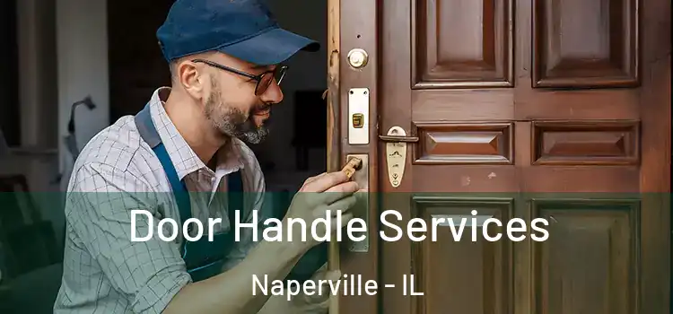  Door Handle Services Naperville - IL