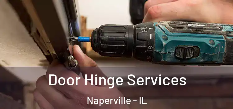  Door Hinge Services Naperville - IL