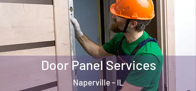  Door Panel Services Naperville - IL