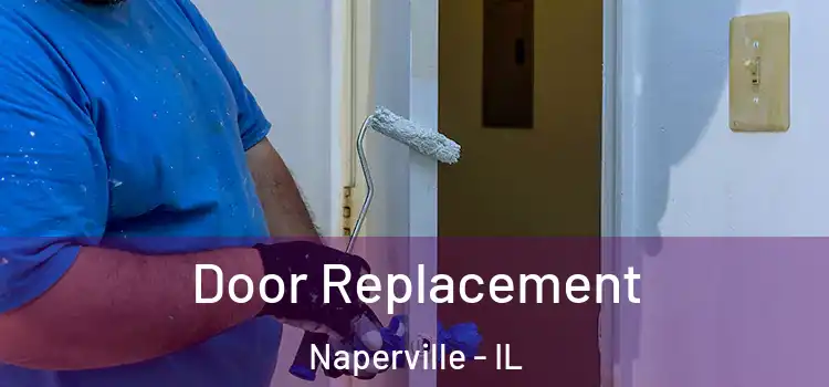  Door Replacement Naperville - IL