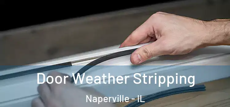  Door Weather Stripping Naperville - IL