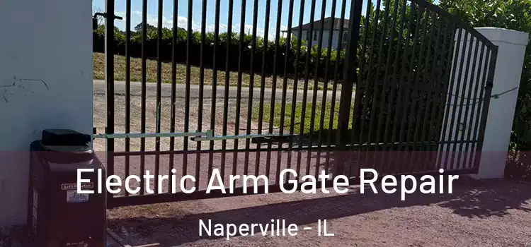  Electric Arm Gate Repair Naperville - IL