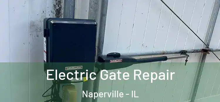  Electric Gate Repair Naperville - IL