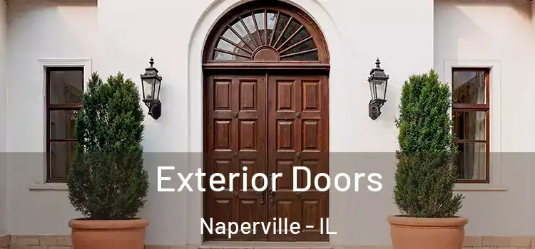  Exterior Doors Naperville - IL