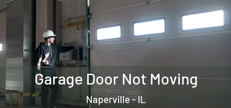 Garage Door Not Moving Naperville - IL