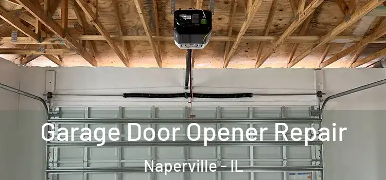  Garage Door Opener Repair Naperville - IL