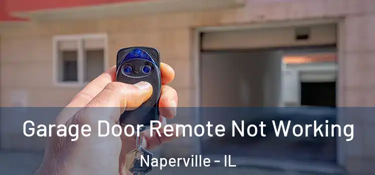  Garage Door Remote Not Working Naperville - IL