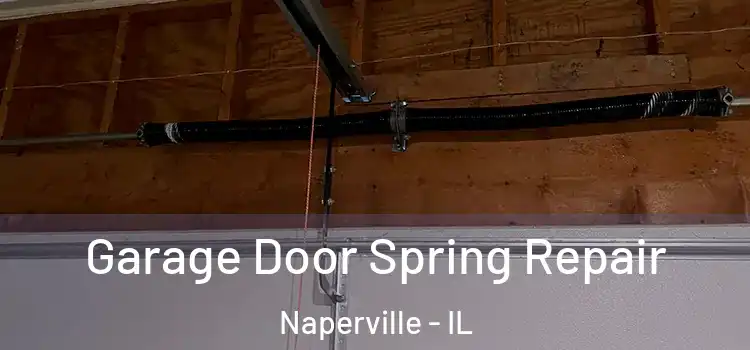  Garage Door Spring Repair Naperville - IL