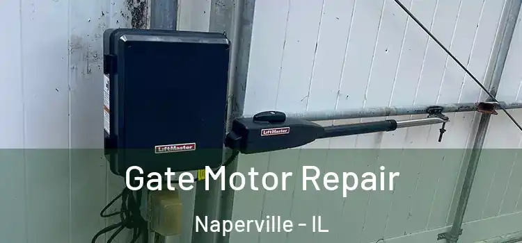  Gate Motor Repair Naperville - IL
