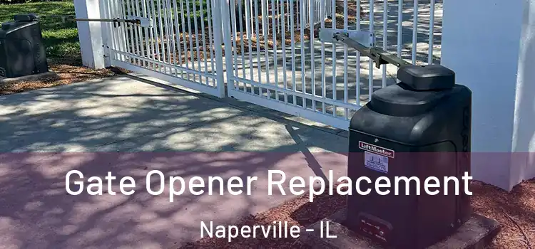  Gate Opener Replacement Naperville - IL