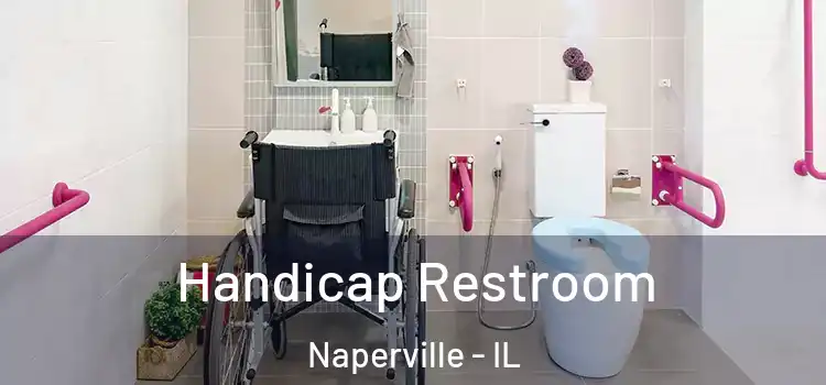 Handicap Restroom Naperville - IL