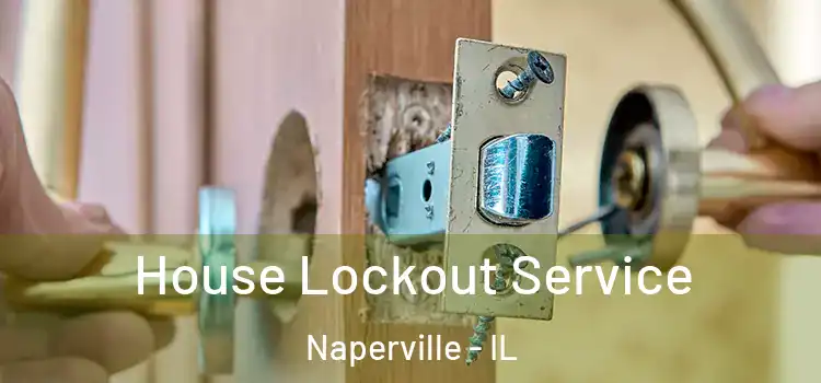  House Lockout Service Naperville - IL