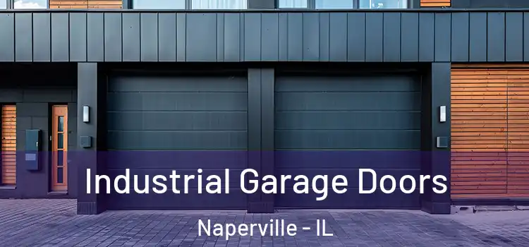  Industrial Garage Doors Naperville - IL