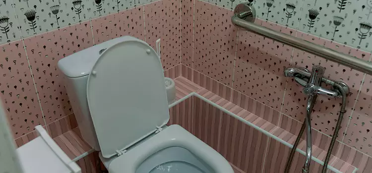 Meeting Diverse Needs With Accessible Restroom Solutions in Naperville, IL