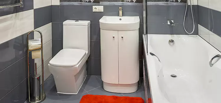Hansgrohe Shaving Mirror Naperville
