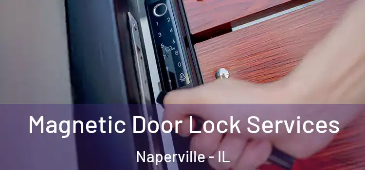  Magnetic Door Lock Services Naperville - IL