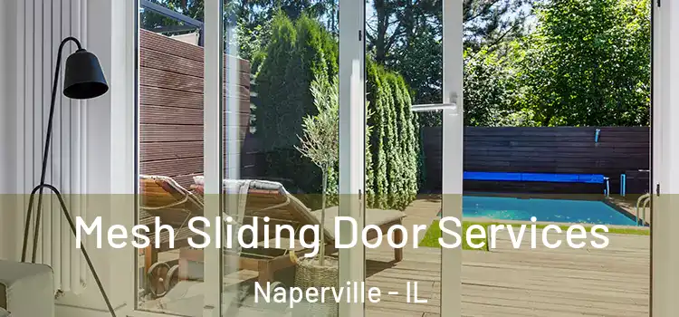  Mesh Sliding Door Services Naperville - IL