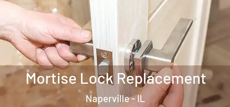  Mortise Lock Replacement Naperville - IL