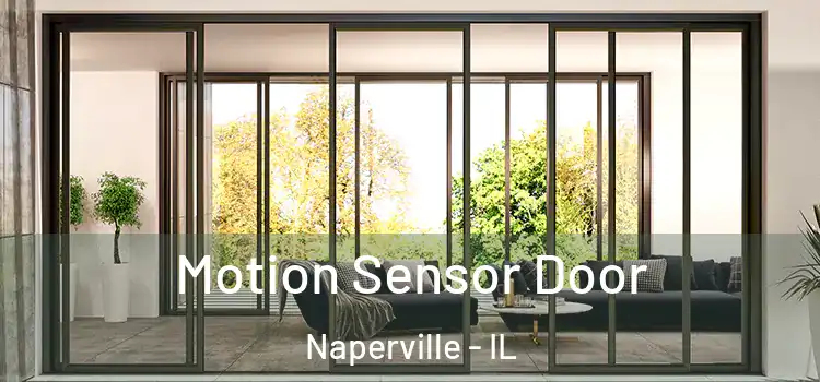  Motion Sensor Door Naperville - IL