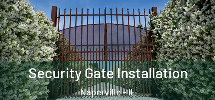 Security Gate Installation Naperville - IL