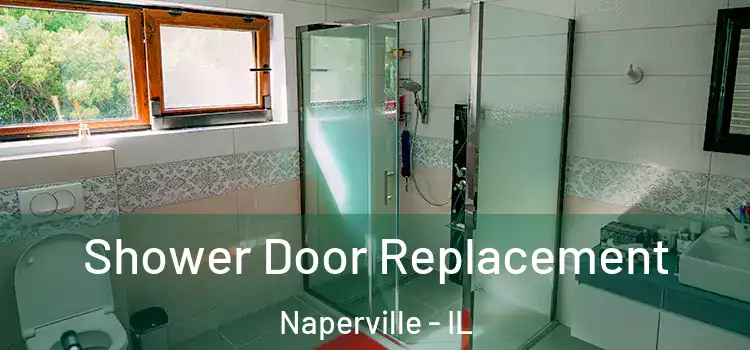  Shower Door Replacement Naperville - IL