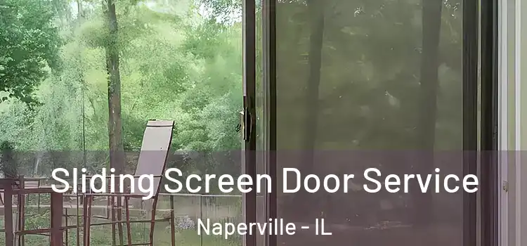  Sliding Screen Door Service Naperville - IL