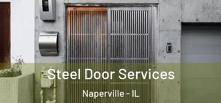  Steel Door Services Naperville - IL